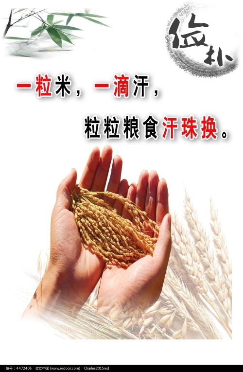 本科学位证电子版怎么弄?